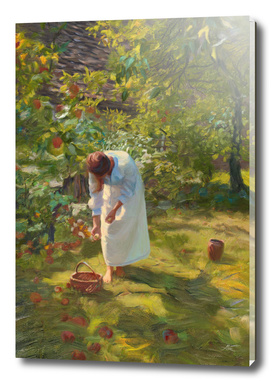 In the fruit orchard