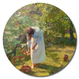 In the fruit orchard