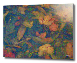 Autumn Leaves Submerged