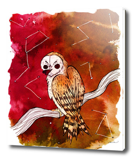 Valentine Owl