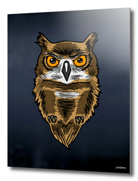 Owl Spirit Animal