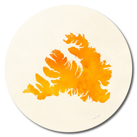 Westfjords Orange