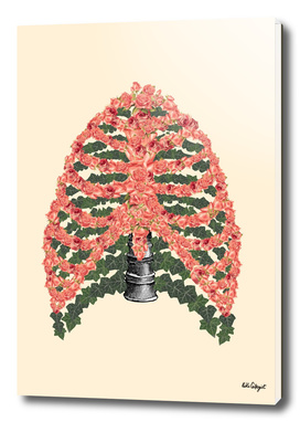 floral ribcage