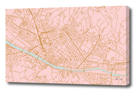 Firenze map