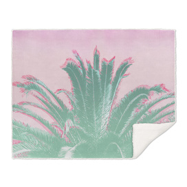 Palm Tree Leaves Tropical Vibes Design