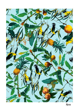 Fruit and Birds Pattern