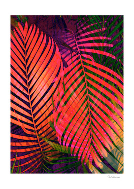 COLORFUL TROPICAL LEAVES no2