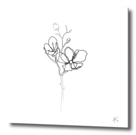 Magnolia Flower Print #1