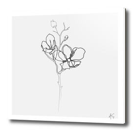 Magnolia Flower Print #1