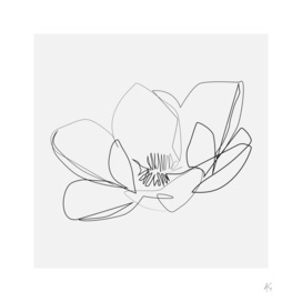 Magnolia Flower Print #2