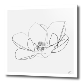 Magnolia Flower Print #2