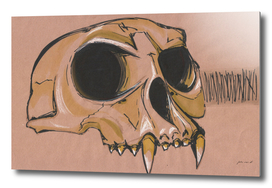 Monk Skull