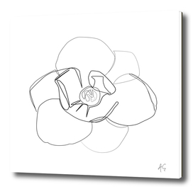 Magnolia Flower Print #3