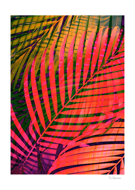 COLORFUL TROPICAL LEAVES no4