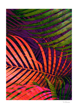 COLORFUL TROPICAL LEAVES no5