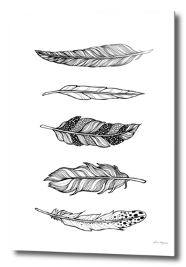 5 Feathers