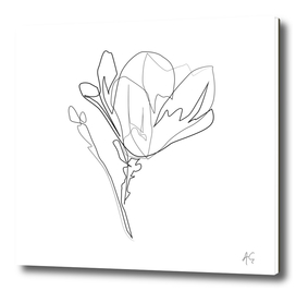 Magnolia Flower Print #4