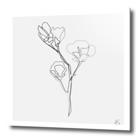Magnolia Flower Print #5