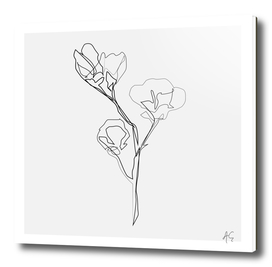 Magnolia Flower Print #5