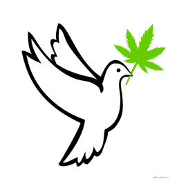 Weed for Peace