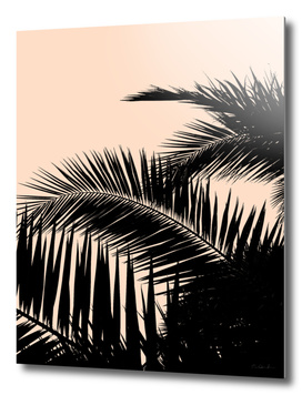 Palms Spring