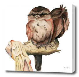 Owl Siblings Watercolor Painting