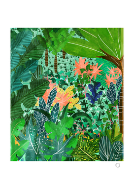 Dense Forest | Colorful Jungle Botanical Nature | Eclectic