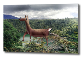 Deer in Guatavita