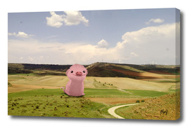 Little pig in the middle of nowhere