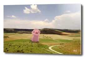 Little pig in the middle of nowhere