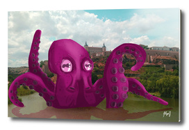Octopus in Toledo