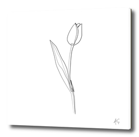 Tulip Flower Print #3
