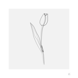 Tulip Flower Print #3