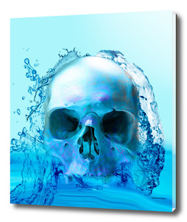 Skull in Water