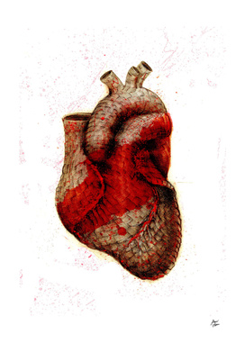 kevlar heart
