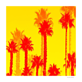 red palm tree with yellow background
