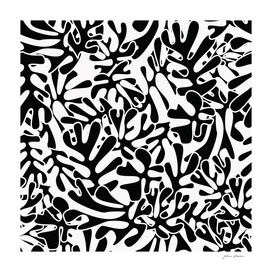 Matisse pattern 007