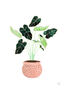 Home Plant | Ceramic Botanical Planter Illustration
