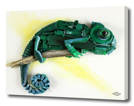 3D Chameleon
