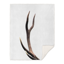 Stag antler