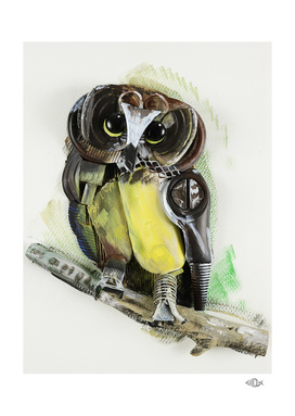 3D Owlet