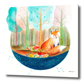 Brave fox in the forest