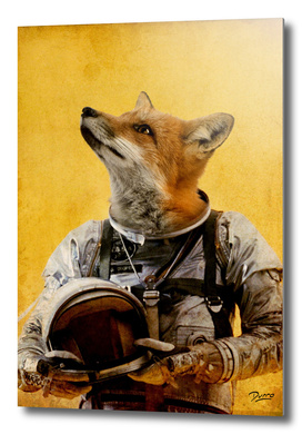 Space fox