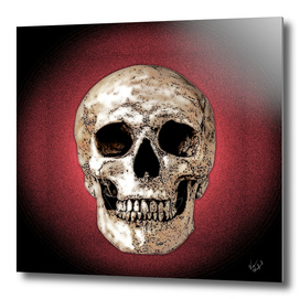 Pop art skull