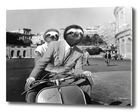 Sloth in Roman Holiday