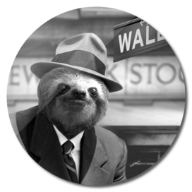 A Sloth in Wall Street