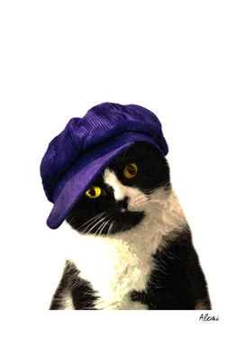 Cat Blue Hat Portrait