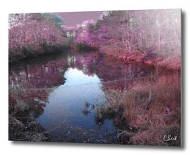 Purple Pond