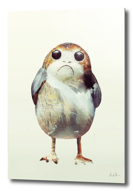 Porg on Ahch-To