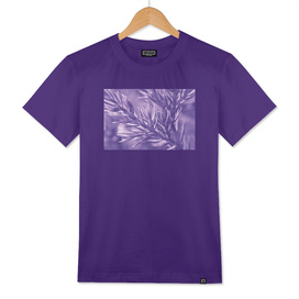 Ultra Violet Pine Tree | Trendy color of year 2018